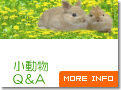 �q���s��̏������p���`�̃y�[�W��