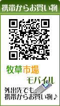 �q���s��@���o�C��