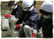 牧草マイスター