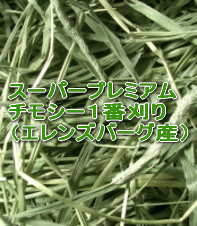 スーパープレミアムチモシー1番刈り